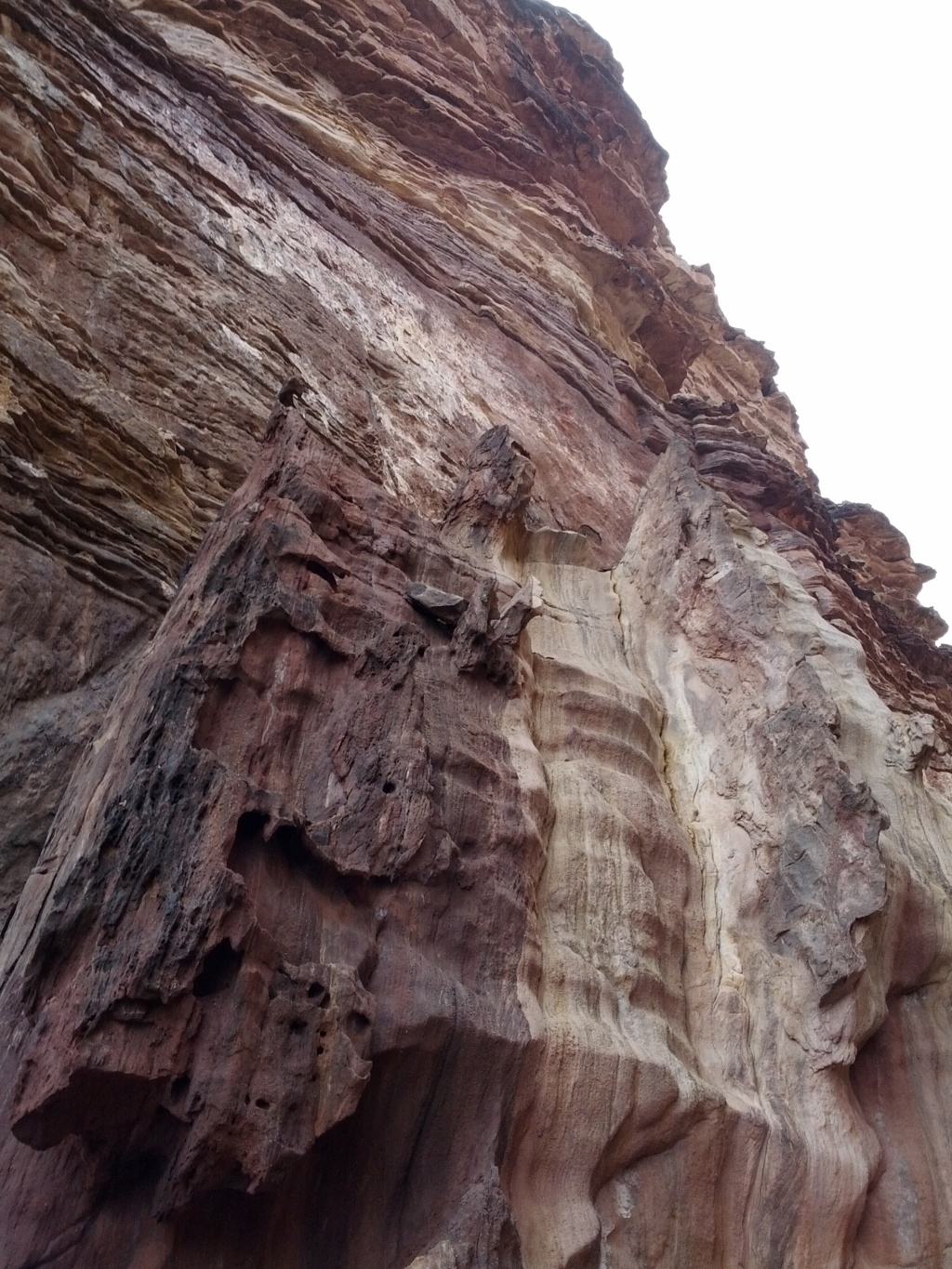 IMG_20130315_111134.jpg